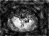 20050816_374_sala.PNG