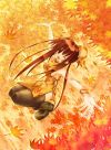 20051003_319_anime_smallpics-1128167964_i_9481_full.jpg