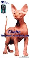 20051024_856_guillete.jpg