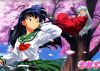 20051112_781_inu.jpg