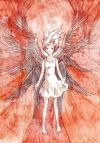 20051113_301_seraph.jpg