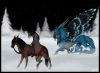 20051124_948_wintrylowres.jpg