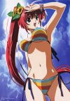20060316_499_2689mizukibikini.jpg