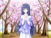 20060502_123_special0040065.jpg