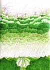 20060908_685_where_rain_comes_form.jpg