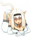 20070214_913_kittykatsmash.jpg