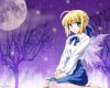 20070307_591_animepaperwallpapersfatestaynightlilmarie2891mv7.jpg