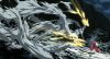 20070425_397_Inuyasha2.jpg