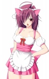 20070608_491_iaintyourmaid.jpg