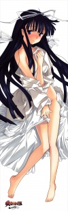 20071221_630_uesugi_pillow_l.jpg