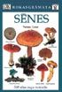 Dorling Kindersley Handbooks: Mushrooms