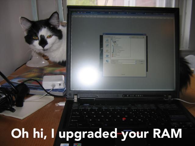 IPB Image