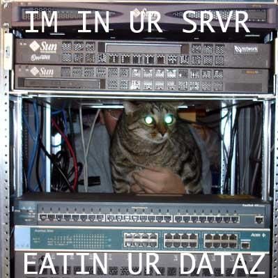 IPB Image