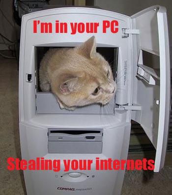 IPB Image