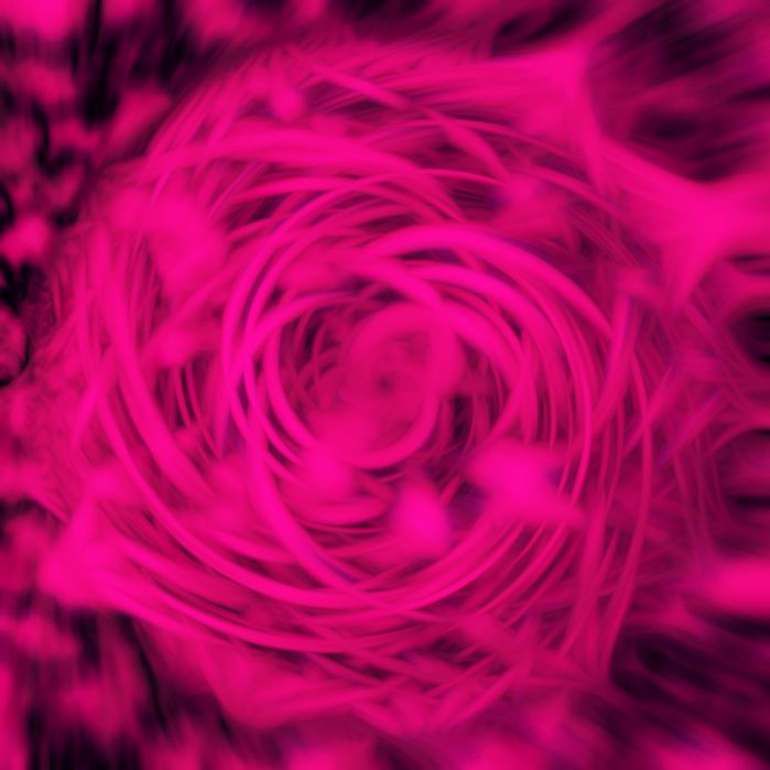 IPB Image
