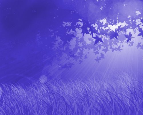 IPB Image