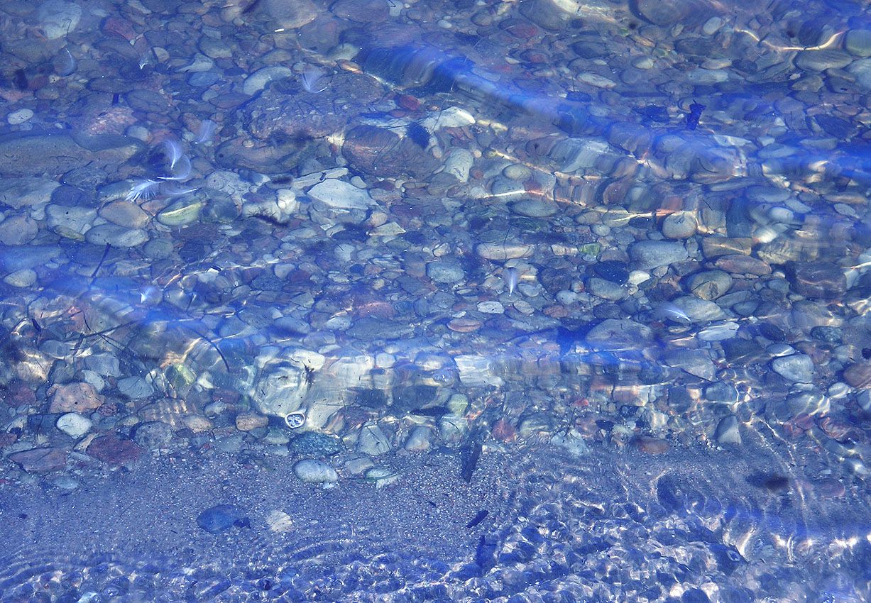 IPB Image