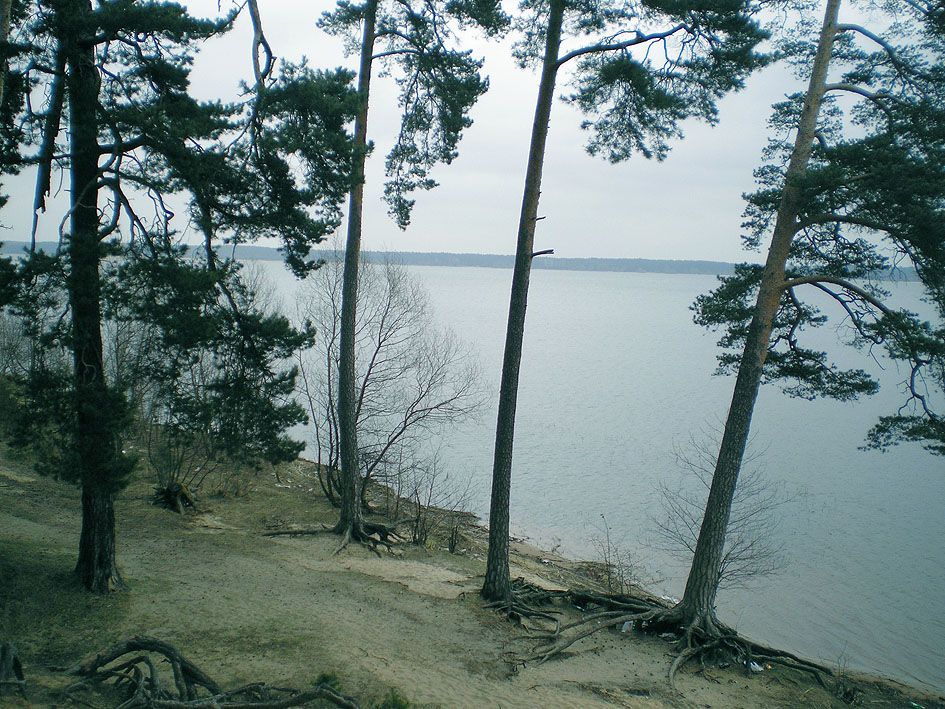 IPB Image