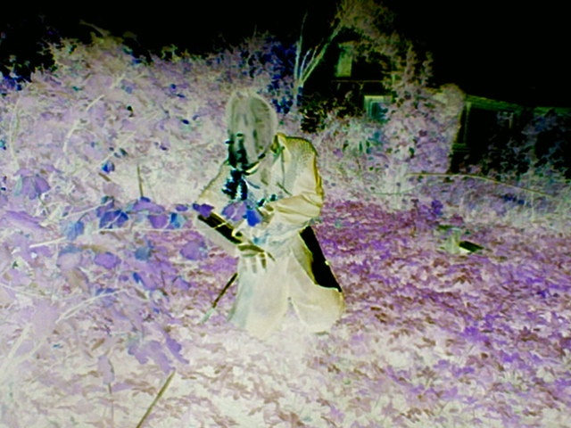 IPB Image