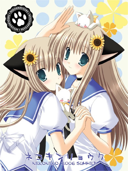 IPB Image