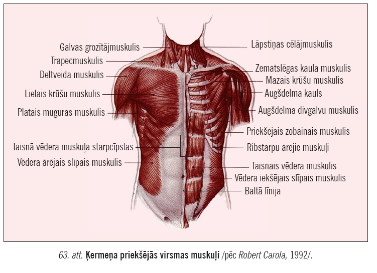 IPB Image
