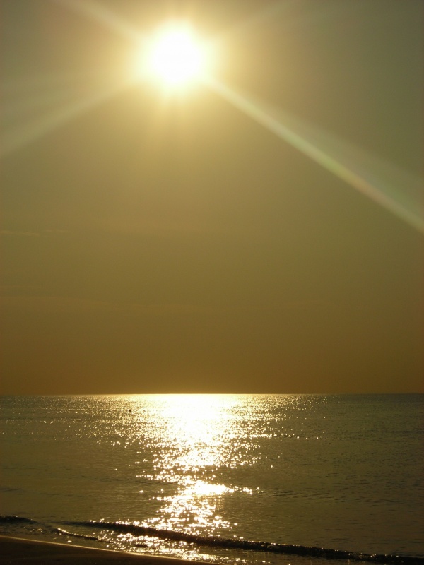 IPB Image