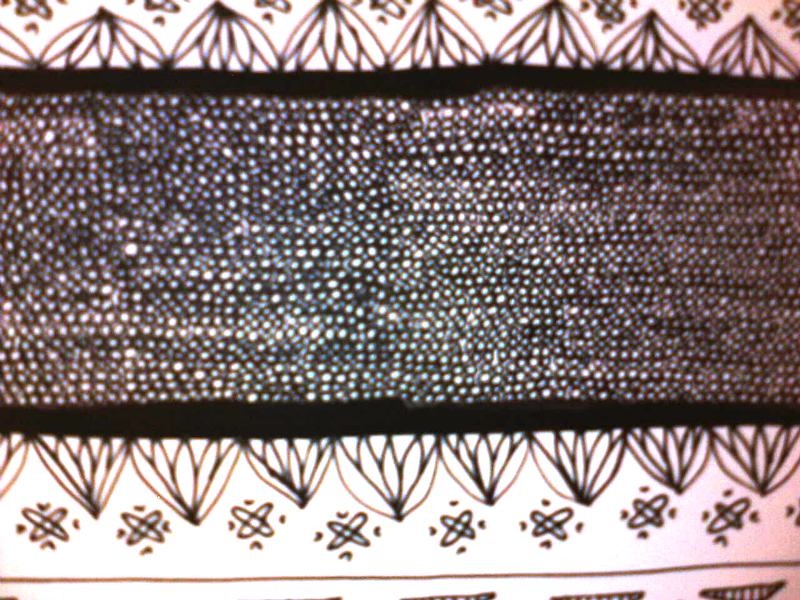 IPB Image
