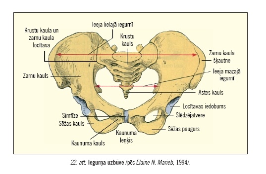 IPB Image