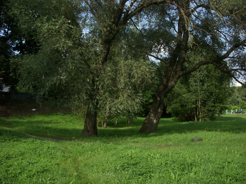 IPB Image