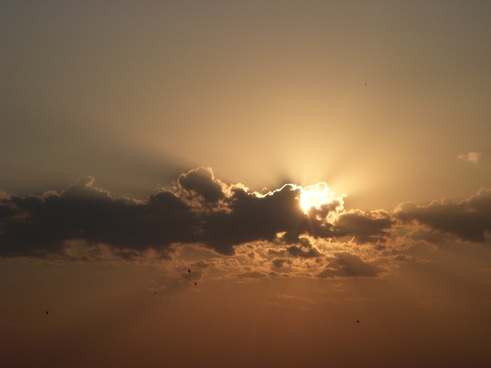 IPB Image
