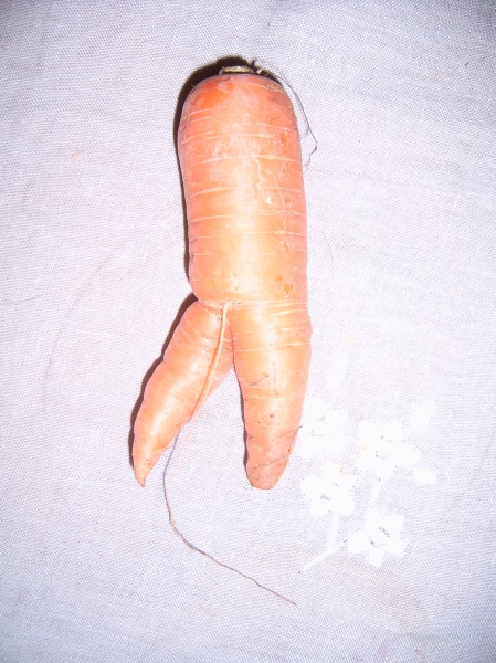 IPB Image